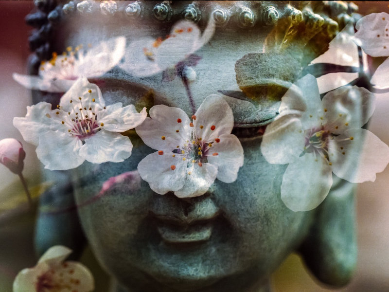 Yoga. Kirsten Schön